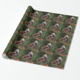 Vit och brun fjäril på röd blomma presentpapper