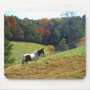 Vit och brun häst, höstdamm musmatta