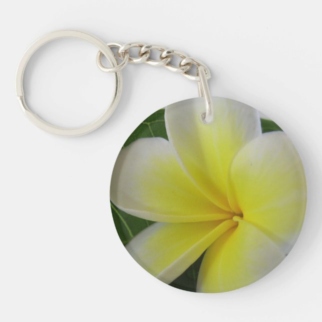 Vit och gul Frangipani (Framsidan)