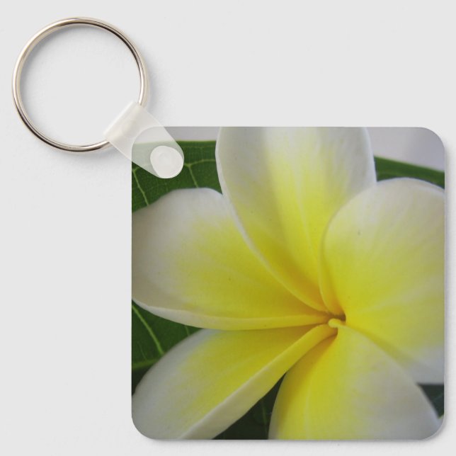 Vit och gul Frangipani Nyckelring (Framsida)