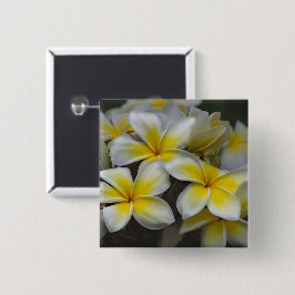 Vit och gul Plumeria tropisk blomma Knapp
