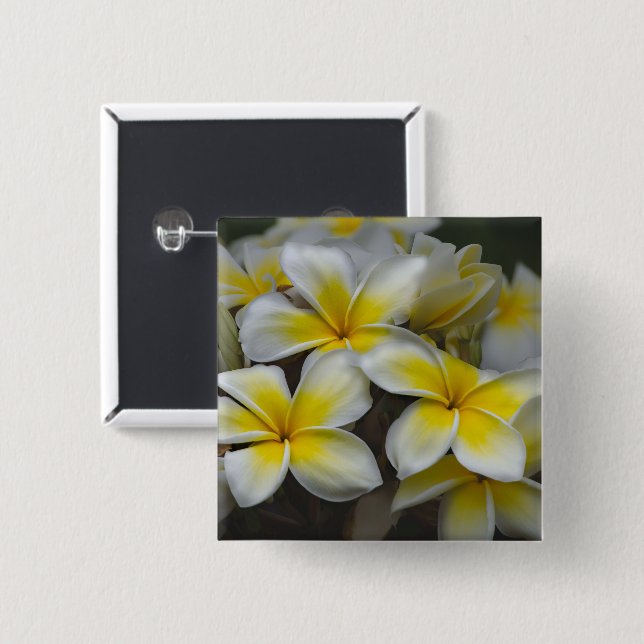 Vit och gul Plumeria tropisk blomma Knapp (Framsida & baksida)