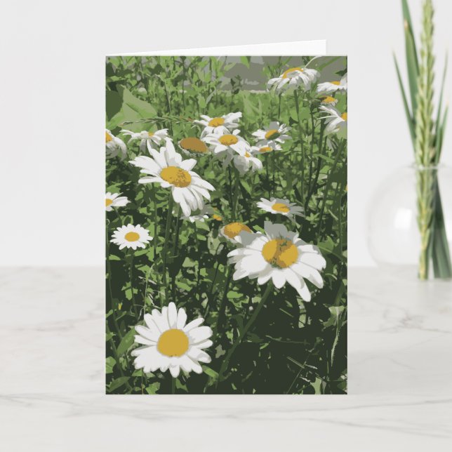 Vit och Gult i vanlig Daisy Kort (Framsida)