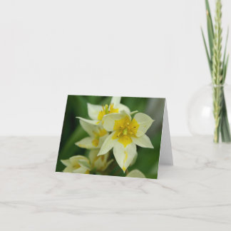 Vit- och gultblomma Notecard Kort