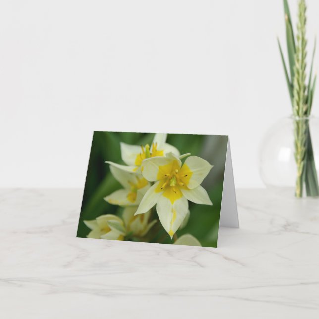 Vit- och gultblomma Notecard Kort (Framsida)