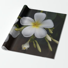 Vit- och gultPlumeria Presentpapper