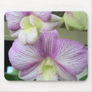 Vit och lätt lila Orchids på en munspad Musmatta