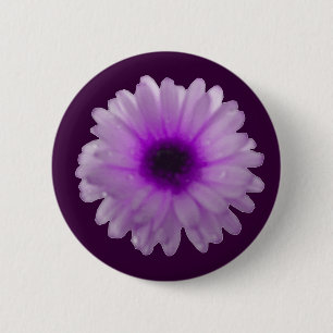 Vit och Lila Marigold Button Knapp