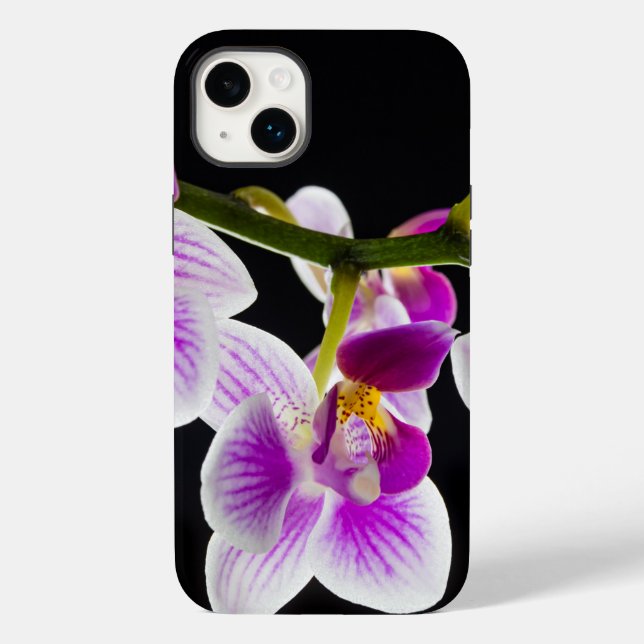 Vit och lila orchid (Baksida)