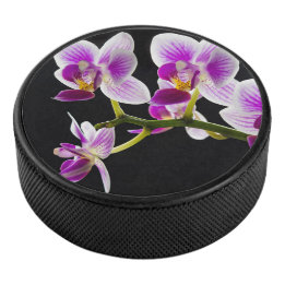 Vit och lila orchid