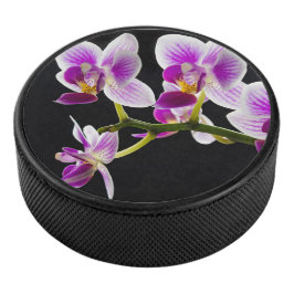 Vit och lila orchid