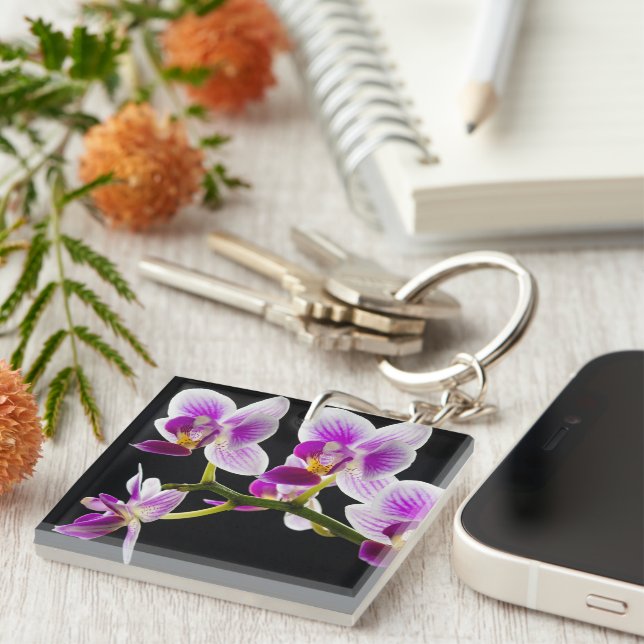 Vit och lila orchid (Högra Framsidan)