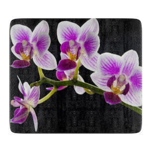 Vit och lila orchid