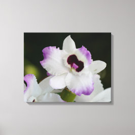Vit och Lila Orchid Canvastryck