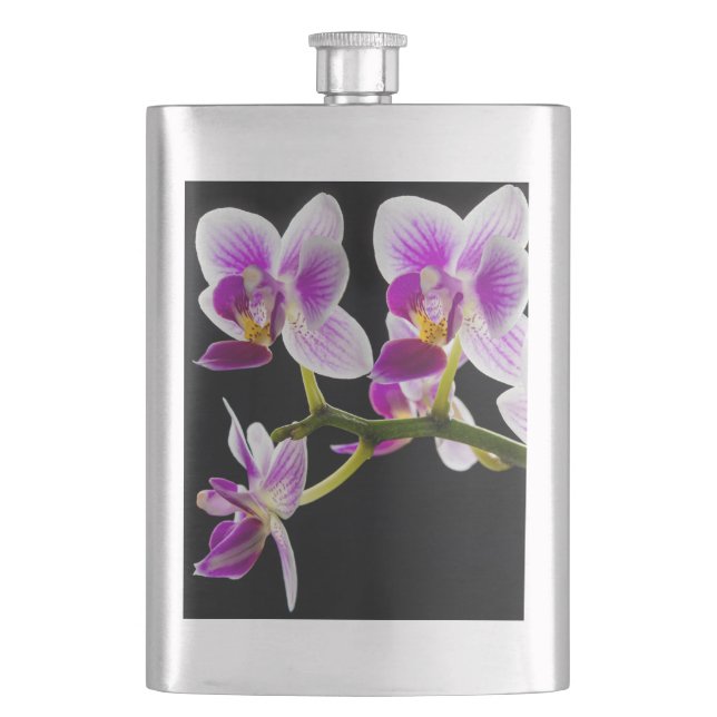 Vit och lila orchid fickplunta (Framsidan)