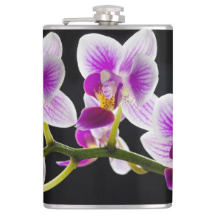 Vit och lila orchid fickplunta