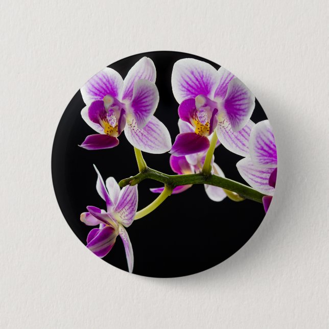 Vit och lila orchid knapp (Framsida)