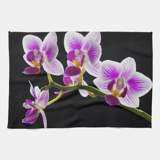 Vit och lila orchid kökshandduk (Horisontell)
