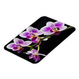 Vit och lila orchid magnet