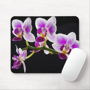 Vit och lila orchid musmatta