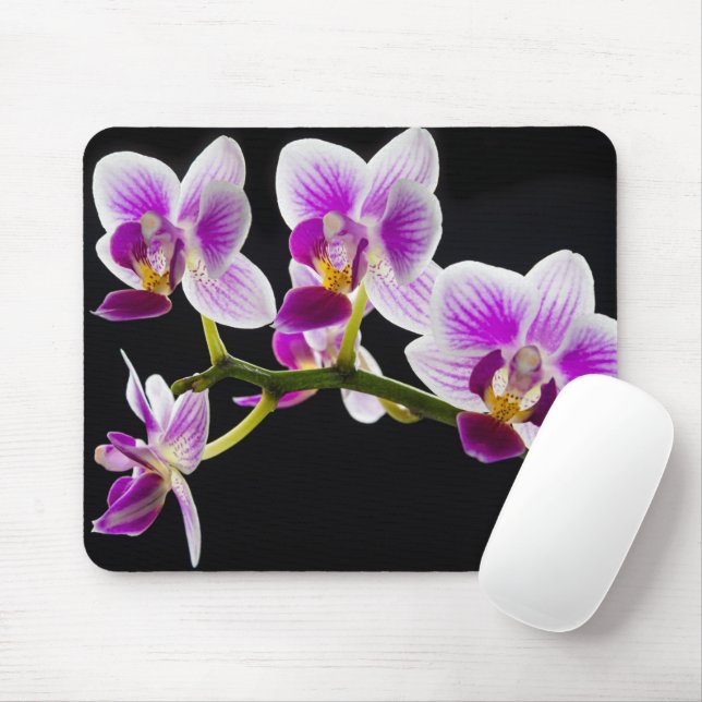 Vit och lila orchid musmatta (Med mus)
