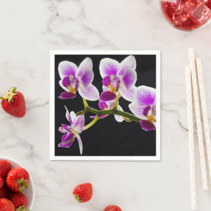 Vit och lila orchid pappersservett