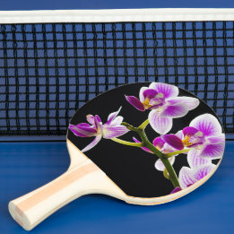 Vit och lila orchid pingisracket