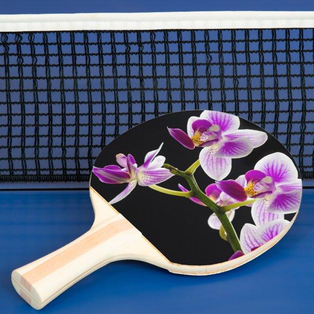 Vit och lila orchid pingisracket (Insitu)