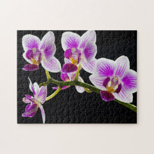 Vit och lila orchid pussel