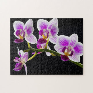Vit och lila orchid pussel