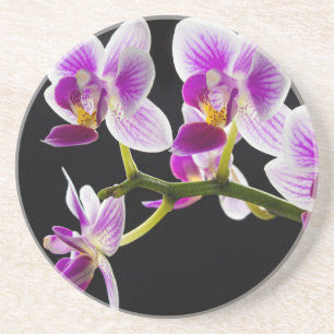 Vit och lila orchid underlägg