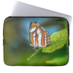 Vit och Orange Randig fjäril Laptop Fodral