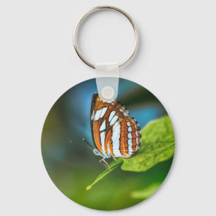 Vit och Orange Randig fjäril Nyckelring