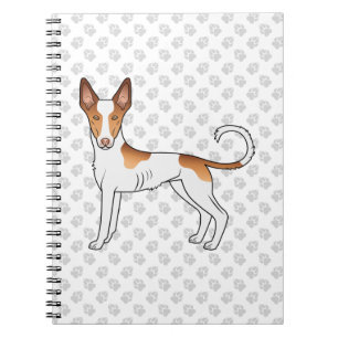 Vit och röd Ibizan Hound slät päls hund och tassar Anteckningsbok