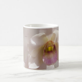 Vit och rosa orkidéblomma på suddig bakgrund kaffemugg