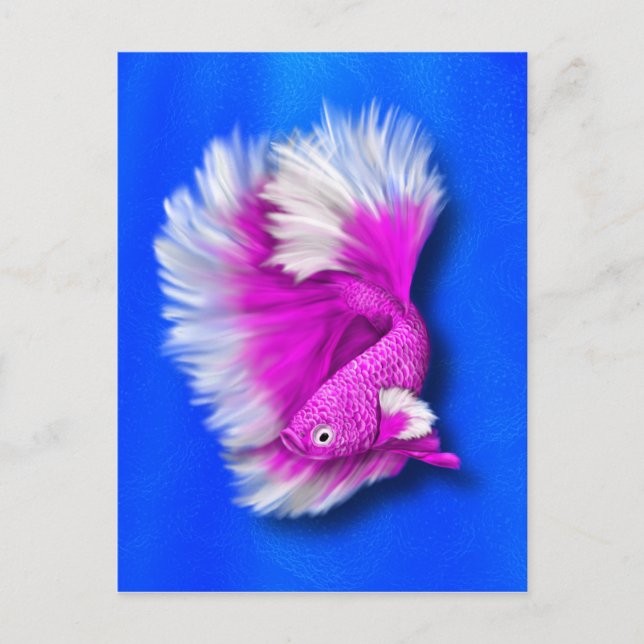 Vit och Shock rosa Betta Fish Vykort (Framsida)