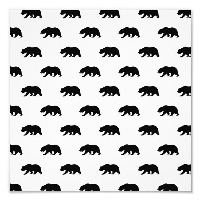 Vit och svart Grizzly Bear Mönster Fototryck (Framsidan)