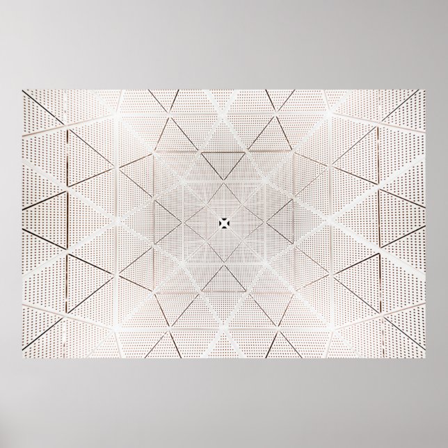 Vit och svart illustration poster (Framsidan)