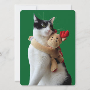 Vit och svart katt och ren jul Leksak Julkort