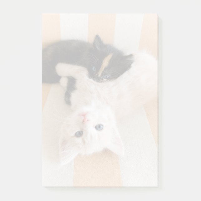 Vit- och svartkattungar post-it block (Framsida)