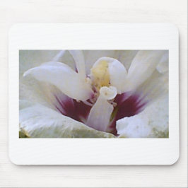 Vit om Vit ros Bloom Musmatta