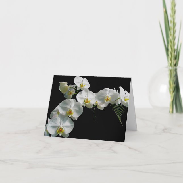 Vit Orchid-anteckningskort Kort (Framsida)