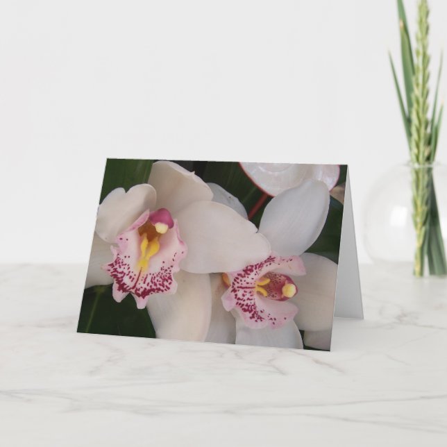 Vit orchid Blank Kort (Framsida)