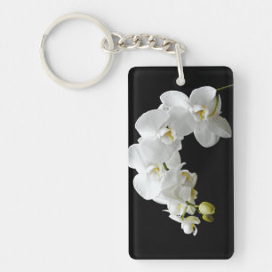 Vit Orchid-Blommar