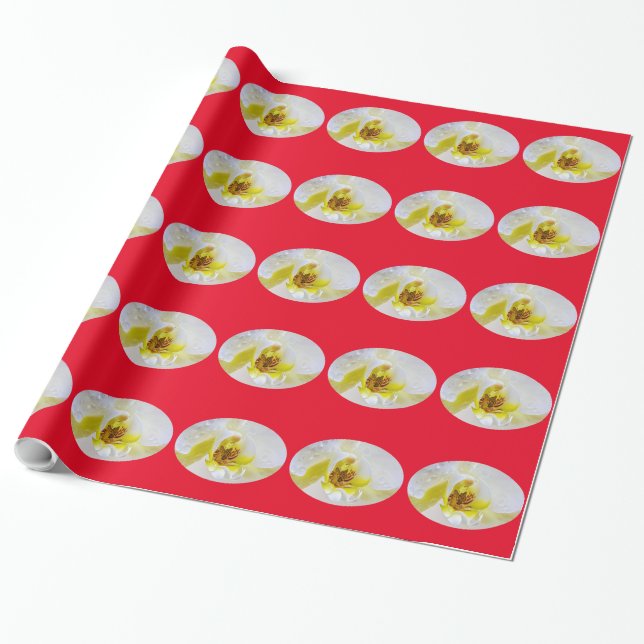Vit Orchid-Blommar, Vatten-fall Presentpapper (Utrullad)