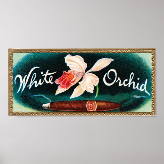 Vit Orchid Cigar-etikett Poster (Framsidan)