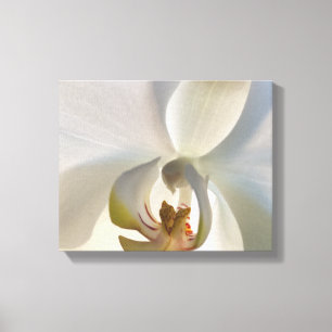 Vit Orchid Flower Blommar Canvastryck