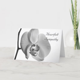 Vit Orchid Flower Sympathy Kort