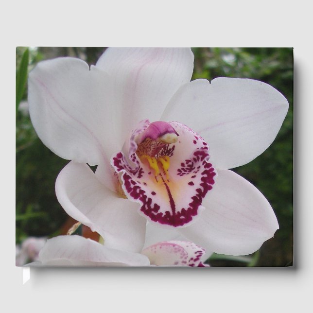 Vit Orchid I vacker tropisk blomma Gästböcker (Framsida)