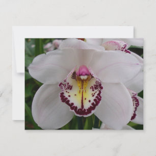 Vit Orchid II Elegant Blommigt Anteckningskort